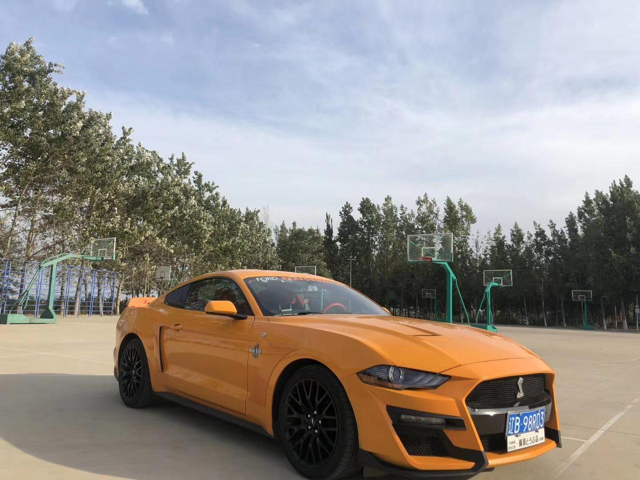 Mustang 换挡顿挫 空挡换D挡 明显的顿挫感 我看抖音 跟西瓜视频一些大神 升级发动机波箱学习 我问了我附近的4s