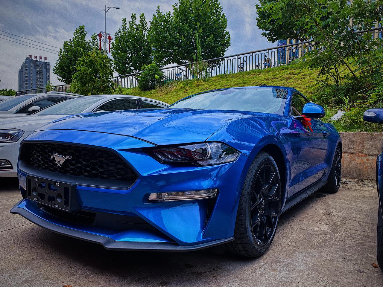 福特Mustang 刚体的新车 发现用车完 停车轮胎两侧都滴水 是野马的排水本来就是走的后轮两侧还是什么原因啊 求大神解