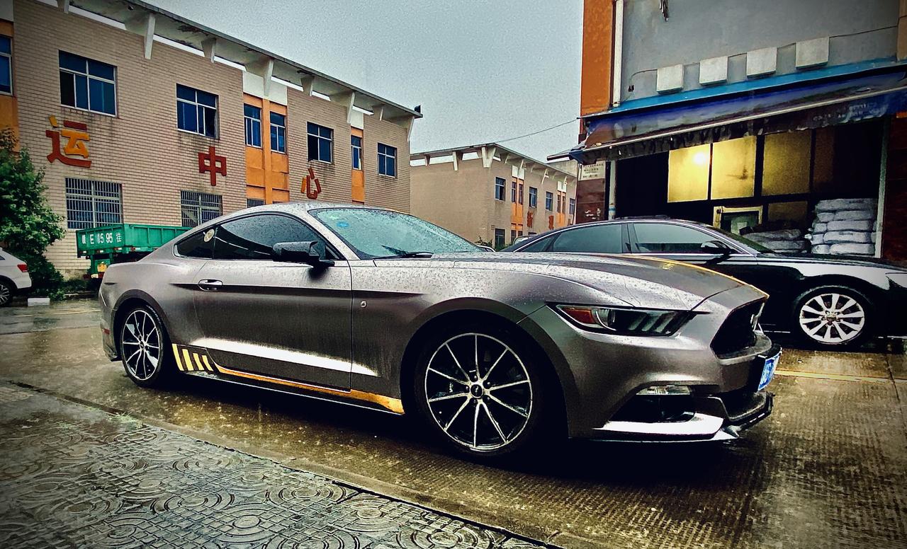 福特Mustang 野马报故障P1450 加完油着不了车，求解