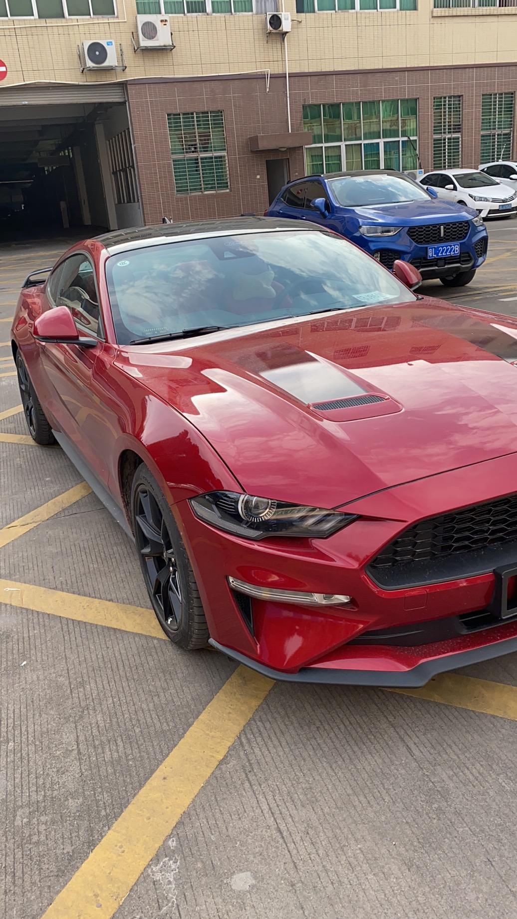 福特Mustang 各位车位 你们的马儿都是多少公里保养一次呀，保养一次大概多少费用 大概都做什么项目 小白刚提车不懂