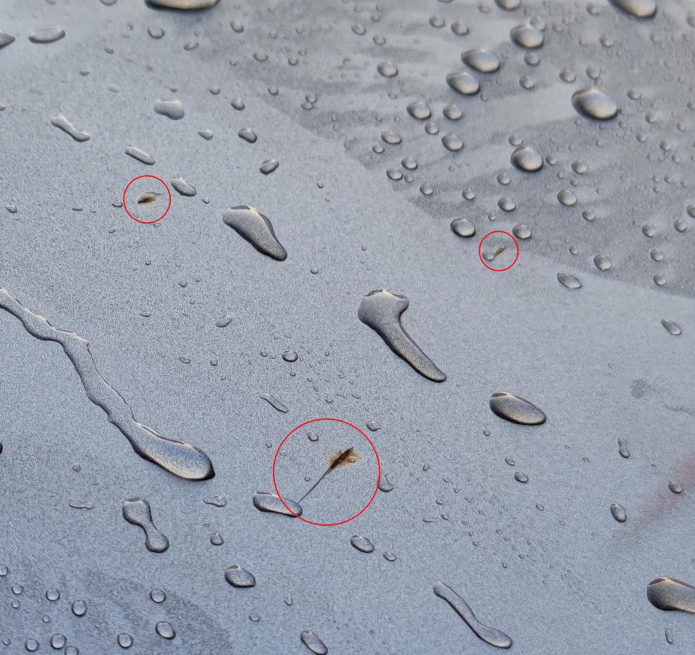 比亚迪宋PLUS DM-i 今天自己动手洗车的时候发现车顶的漆面破了三个小口，已经开始生锈了，这种要怎么处理啊