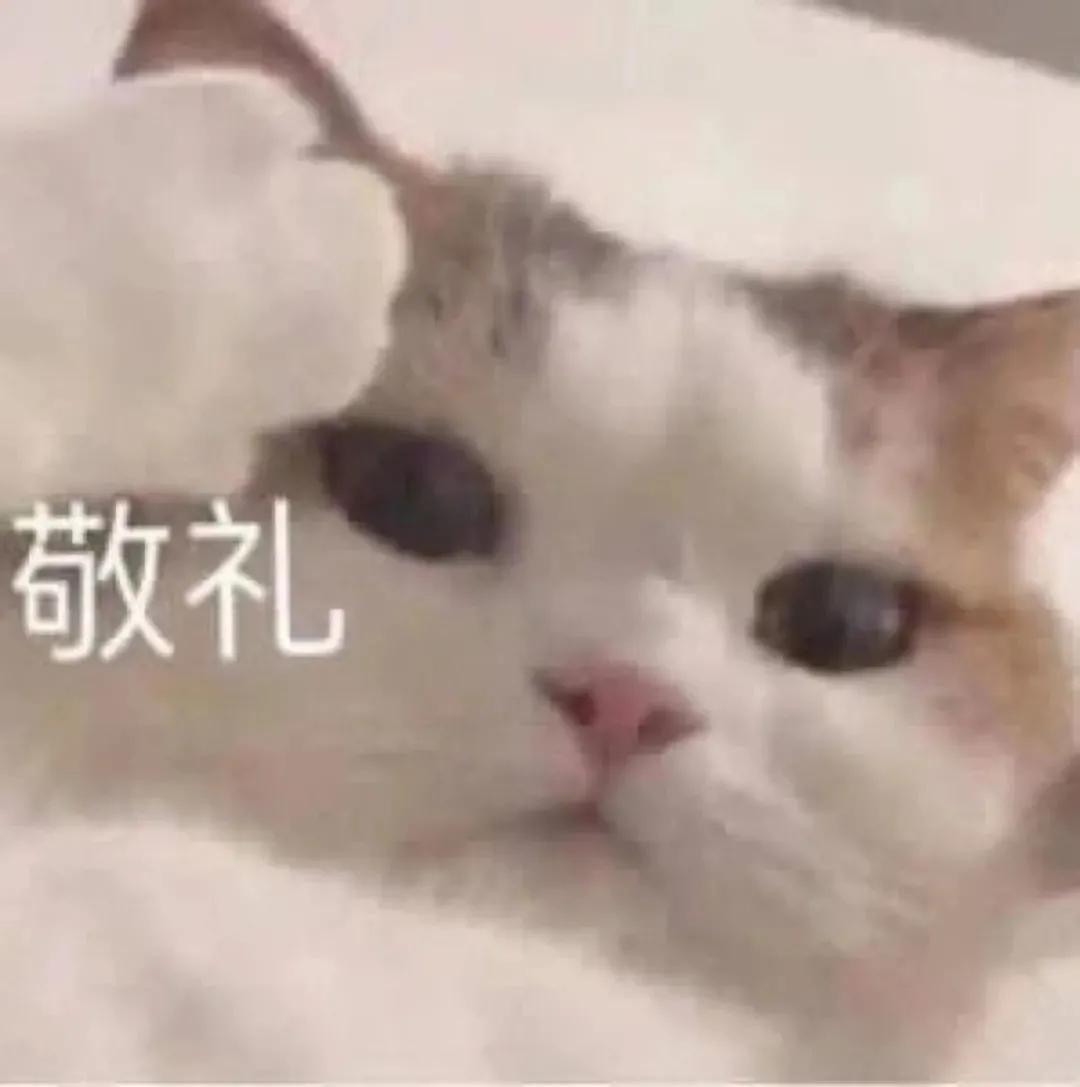 吉利星越L XDM，你们订车之后4s店要身份证照片了吗？第一次买车，我怕会不会拿去干坏事，希望有懂得兄弟解答疑惑