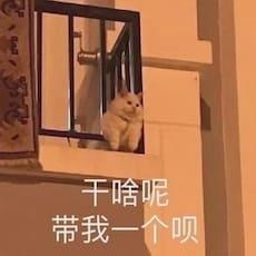 吉利星越L 车友们，有没有官网订车后更换了颜色或配置后提的？？9月份前订车，9月后换了不同颜色和配置的现车，等候补贴还有