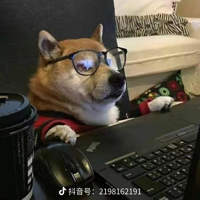 哈弗大狗 兄弟们准备入手大狗来着，最近有购买田园犬或者哮天犬的吗，落地多少啊？有老司机来告诉一下油耗吗