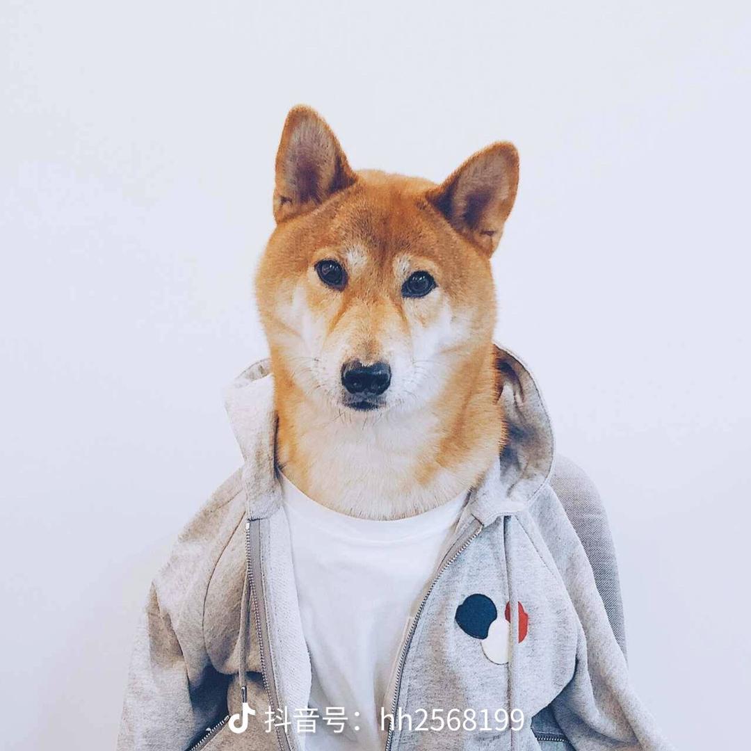 哈弗大狗 成都或者绵阳有没有大佬买大狗田园啸天的，落地多少啊