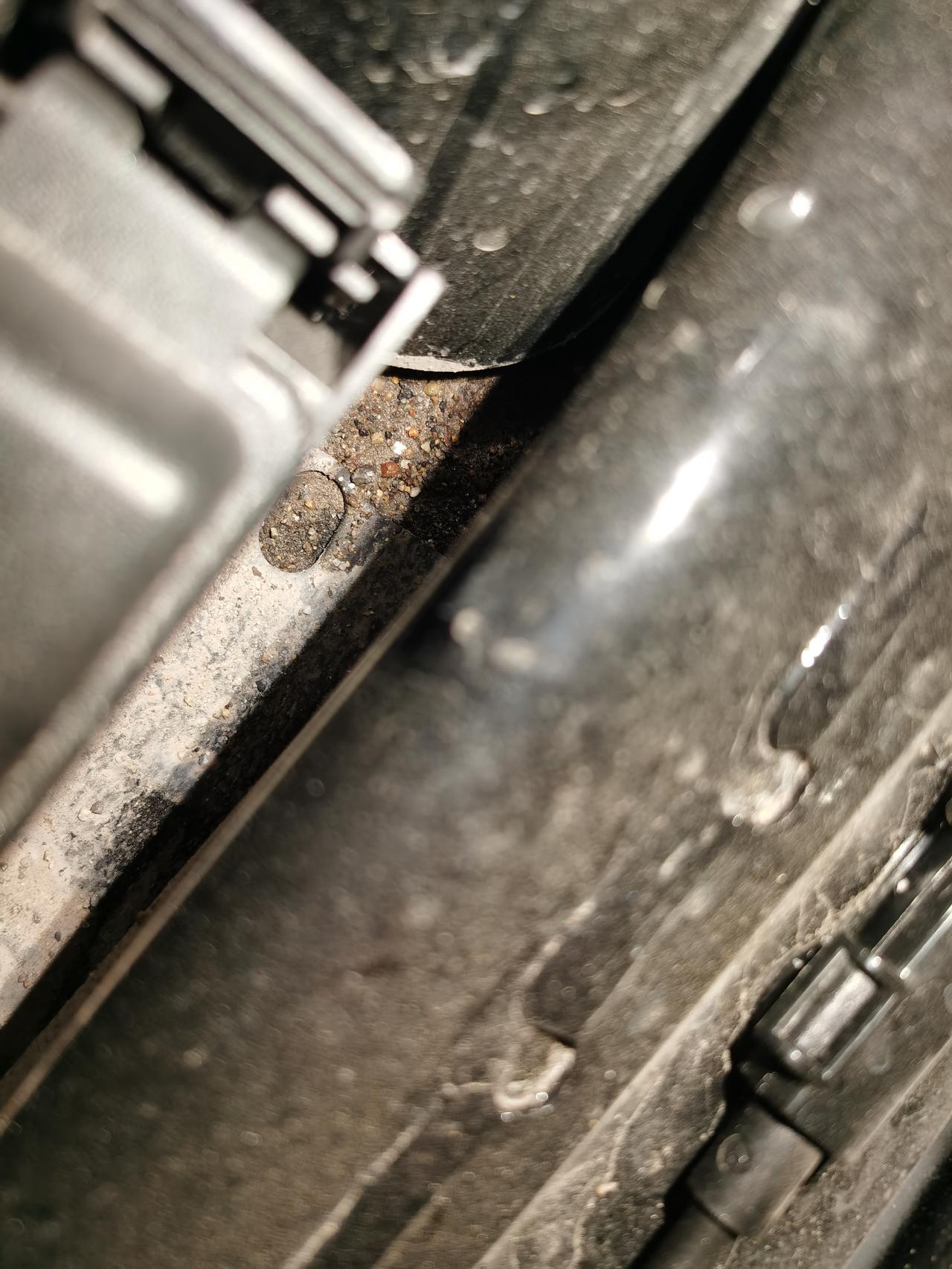 福特福克斯 这个部位大家都有泥沙吗？位置轮胎上方吧