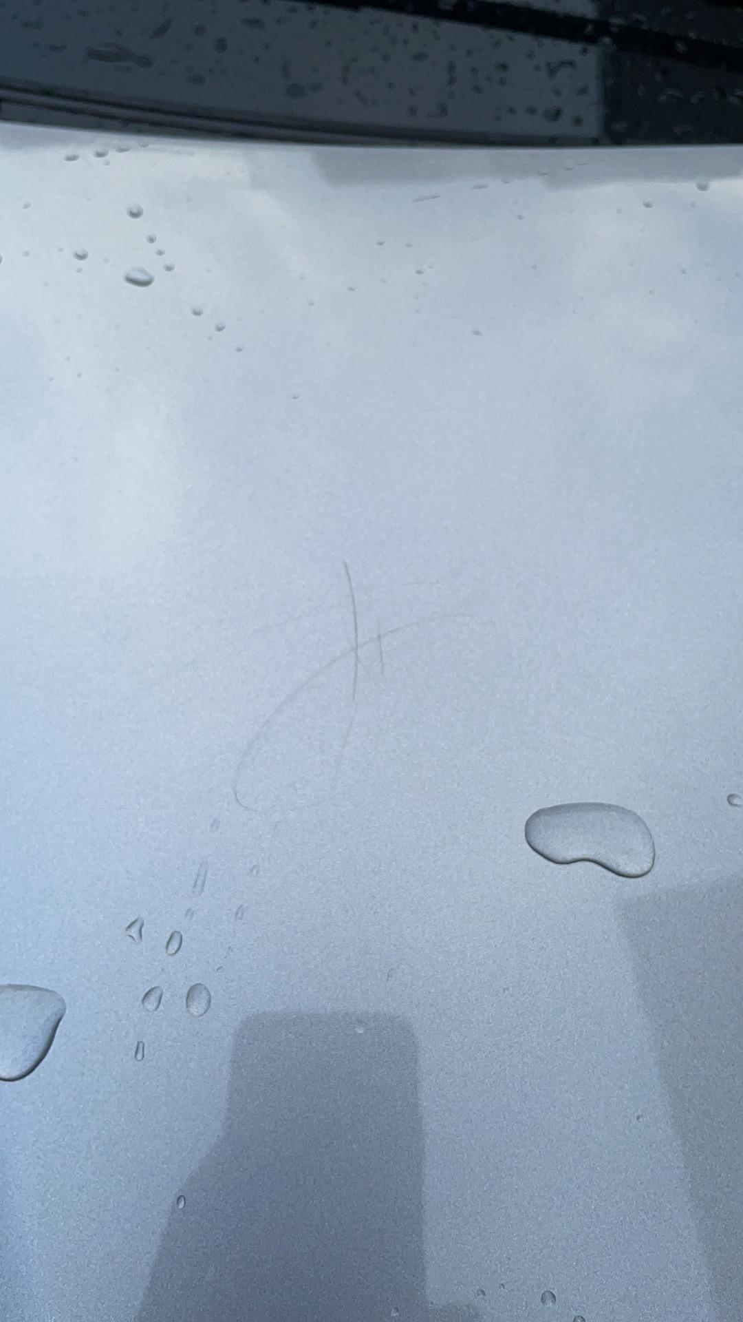 标致408 大家看看  这划痕怎么搞？  不像是小猫弄的  应该是认为的吗？  抛光一下就行了吗？  有些人真的坏死了
