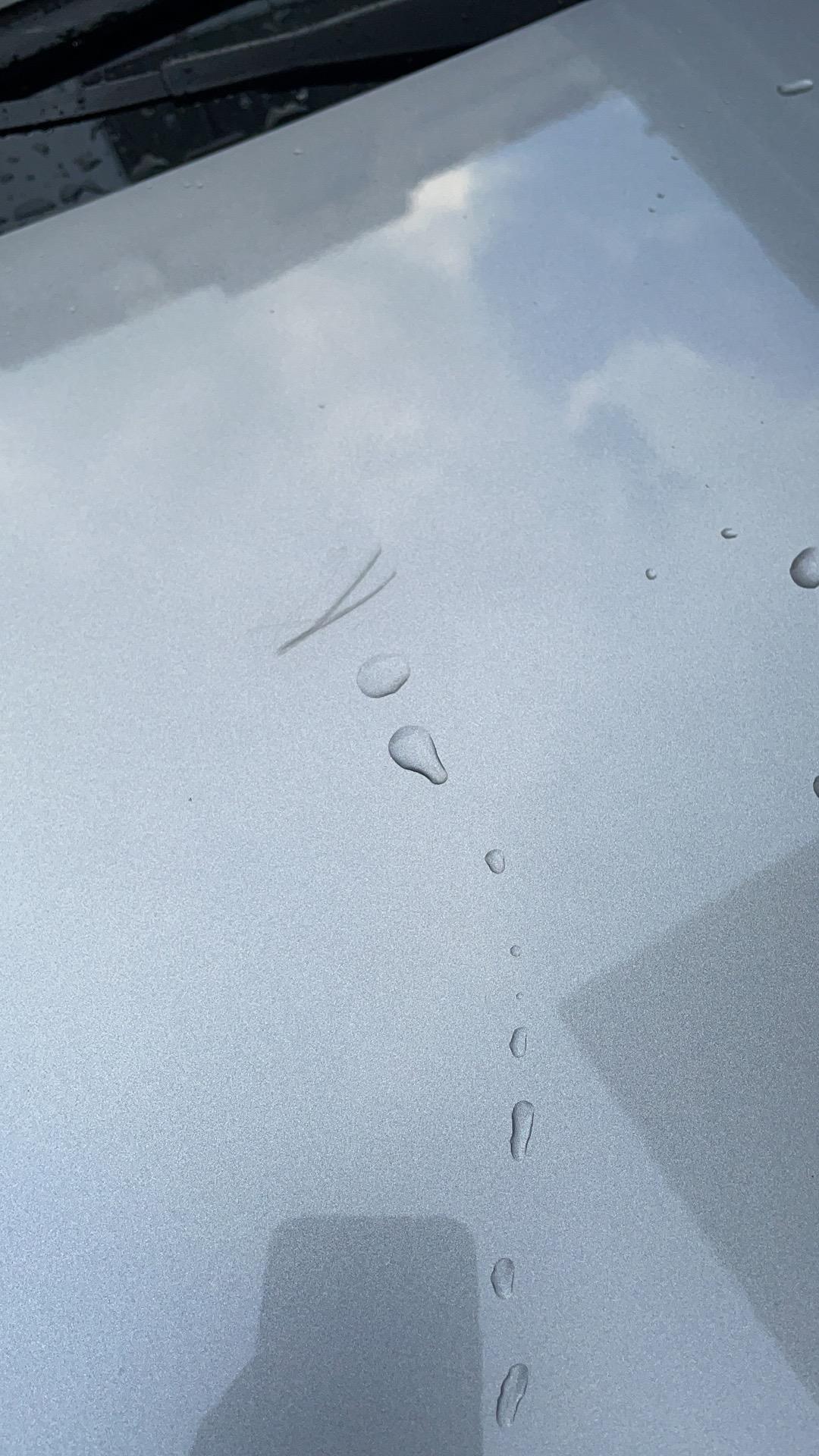 标致408 大家看看  这划痕怎么搞？  不像是小猫弄的  应该是认为的吗？  抛光一下就行了吗？  有些人真的坏死了