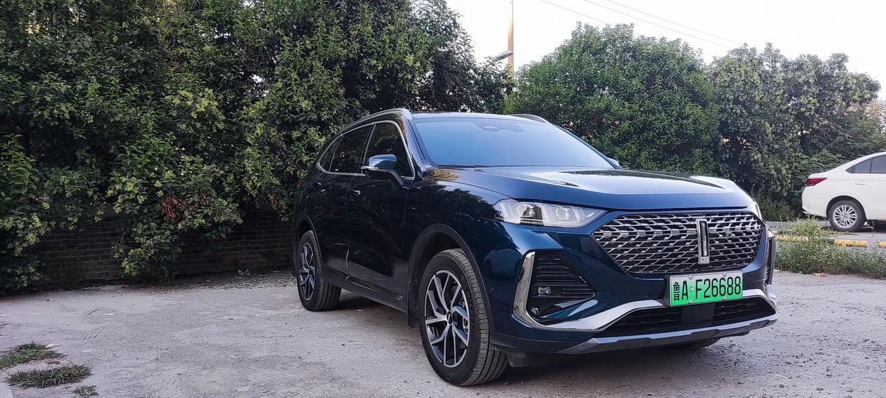魏牌拿铁DHT-PHEV 拿铁phev有负离子功能，但手机app里有空气净化和座舱清洁功能，没见负离子，这两个哪个是负离