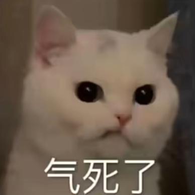 车友们，新蒙迪欧买哪个颜色内饰好看呢？最近买 有纠结症难以选择