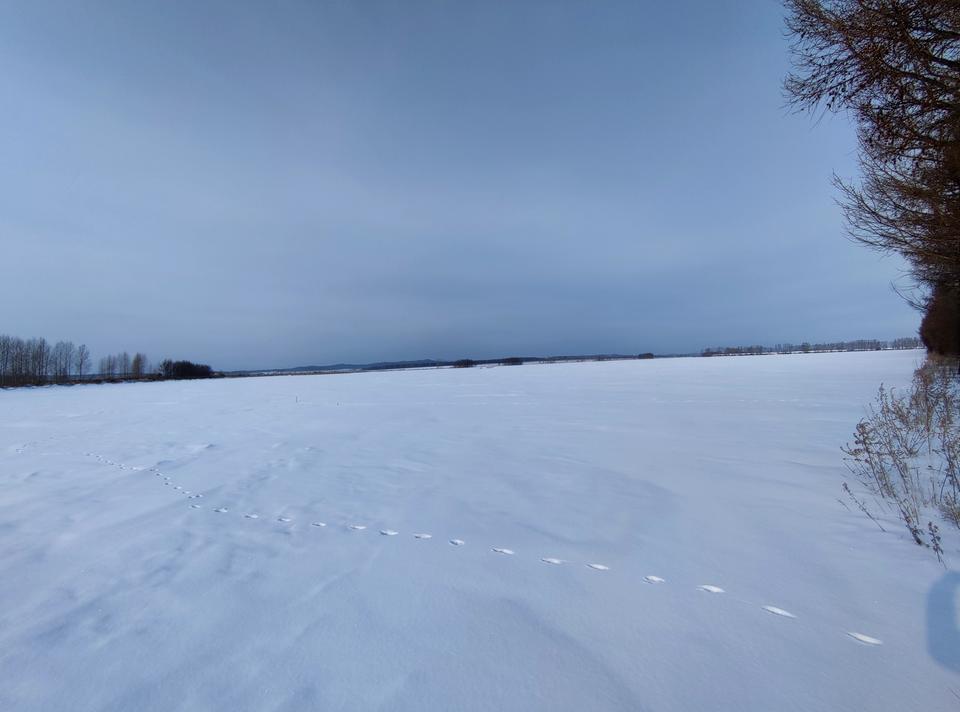 22款帕萨特用的什么轮胎啊？冬天去东北用不用换雪地胎？