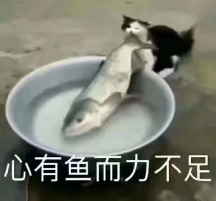 吉利星瑞 是现在买车有4.5年保养和一年免费升级划算还是等明年5 6月买优惠