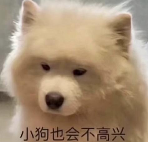比亚迪秦PLUS DM-i 求助大家，坐标山西大同，现在已经等待快俩月驱逐舰了等不到，现在秦plus dmi 120km