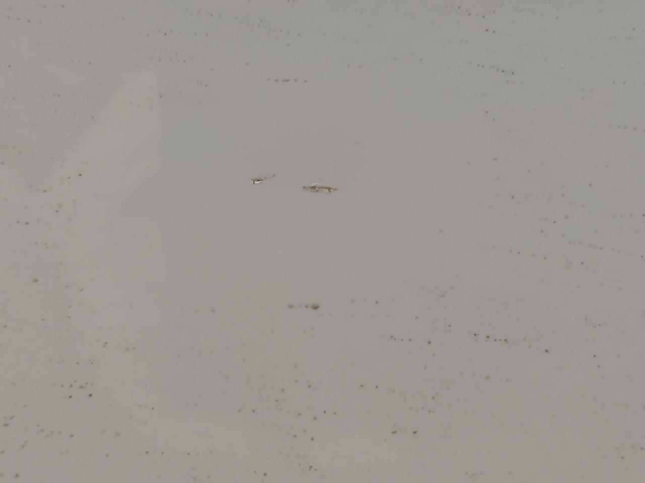奔驰C级 奔c260l星耀，开车门时没注意到旁边竖根铁管，磕上了，已经两天了，最近还下雨，请各位帮忙看下需要大补吗？还是
