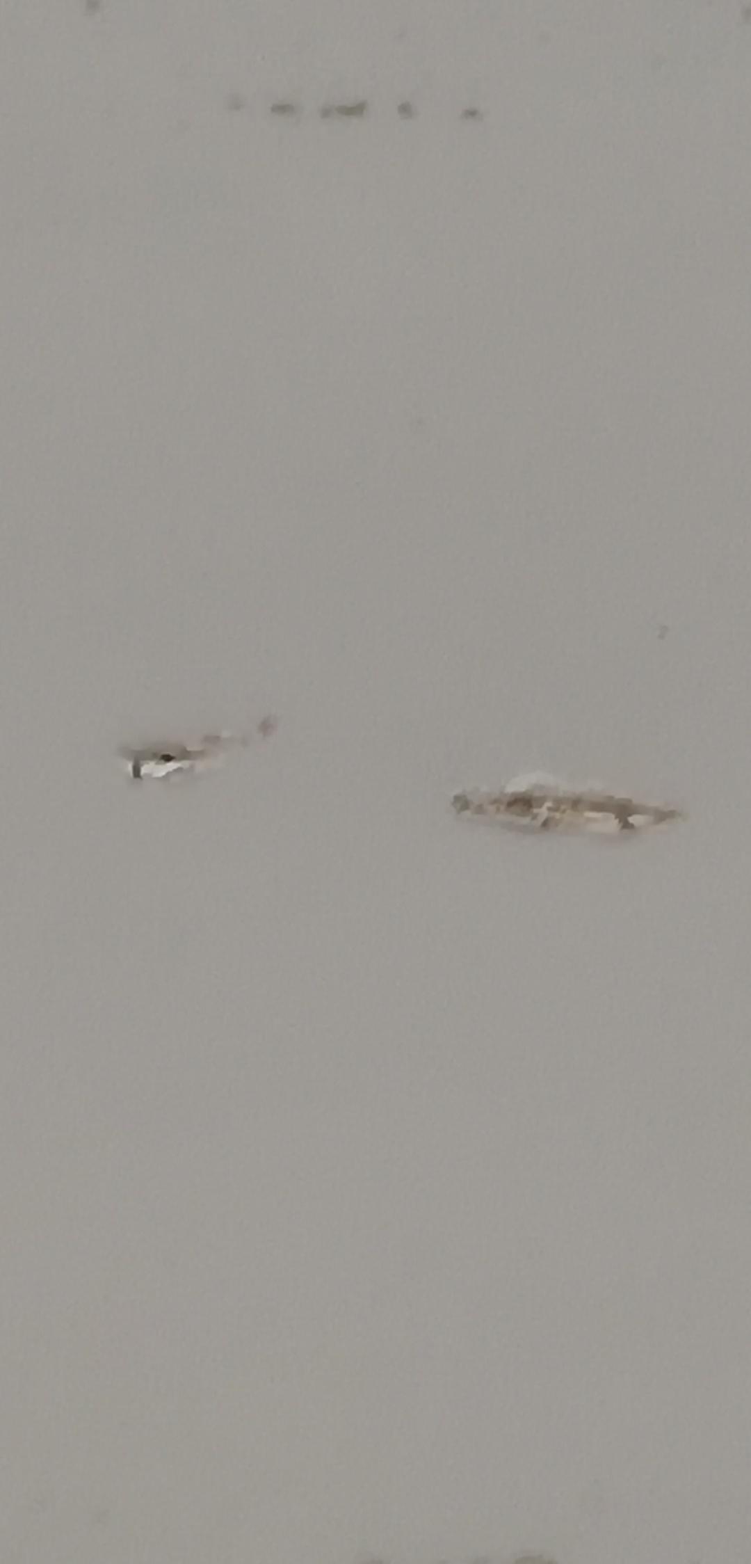 奔驰C级 奔c260l星耀，开车门时没注意到旁边竖根铁管，磕上了，已经两天了，最近还下雨，请各位帮忙看下需要大补吗？还是