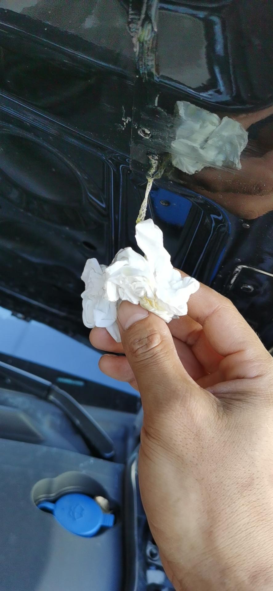 奔驰E级 发动机盖内侧这是什么东西啊？像油又像胶？