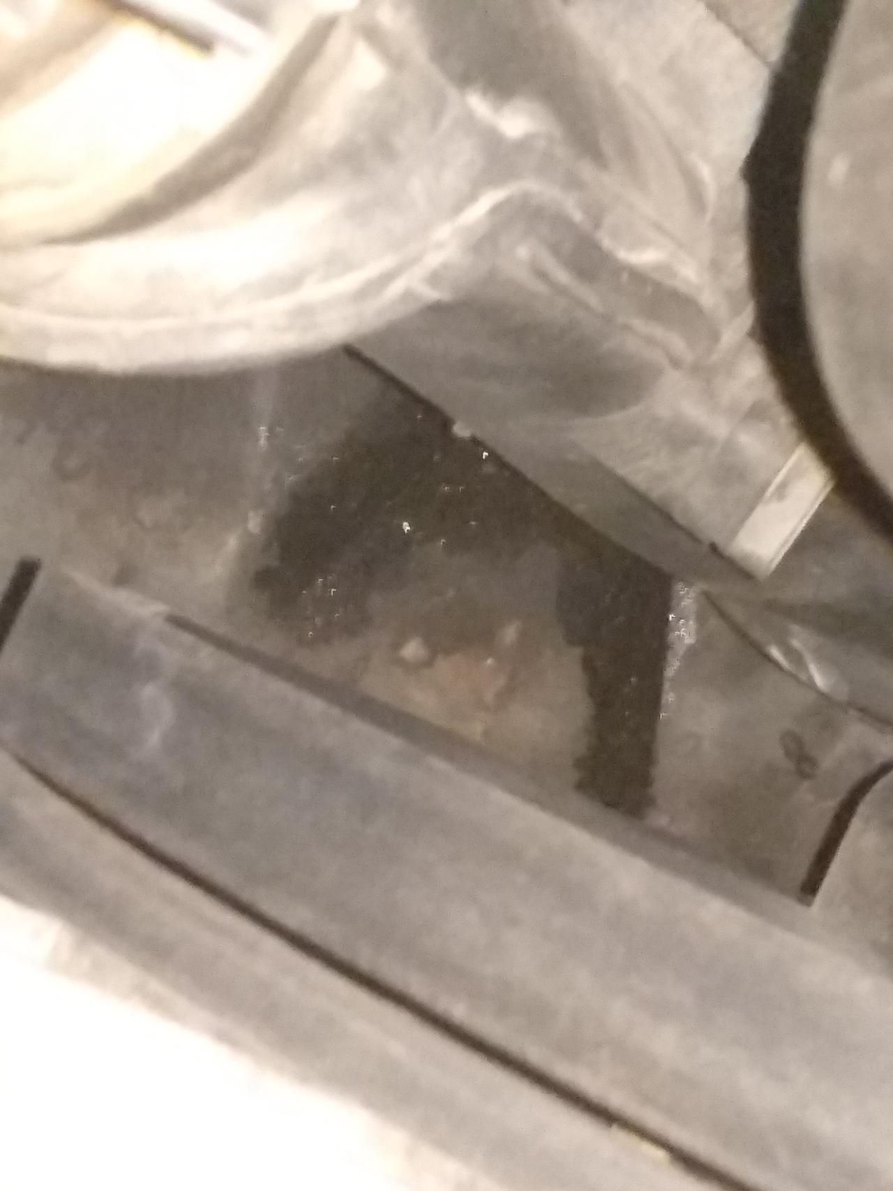 大众迈腾 新换的防冻液今天又提示检查防冻液，打开机盖看见下面有漏液的，1.是不是水泵坏了，还有皮垫坏了。2.换一个水泵大