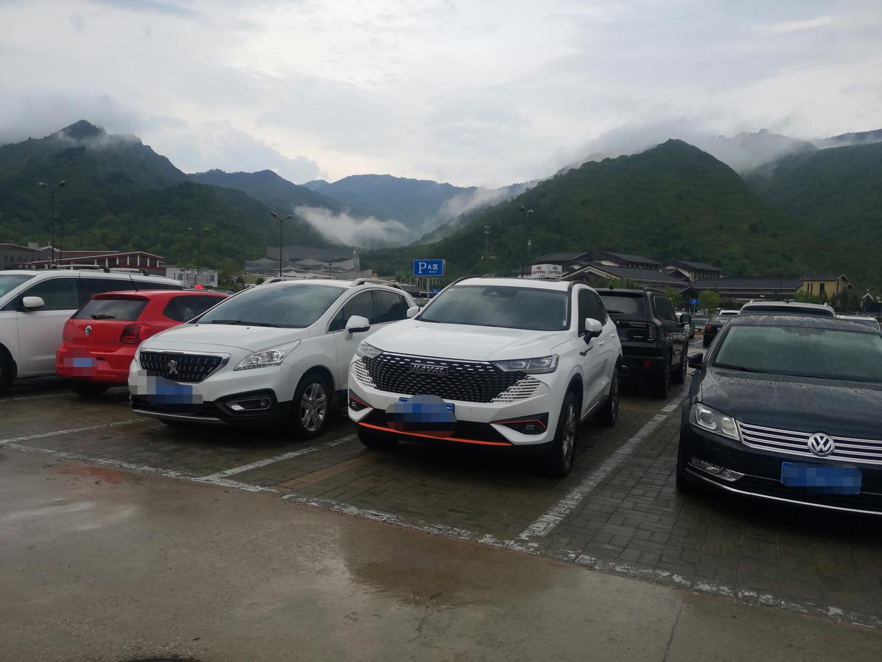 哈弗H6 我们这个车可以加小油么？我这边有加小油的，价格比中石化便宜不少。一箱油起码能省三四十块。但是我一直没敢加，怕加