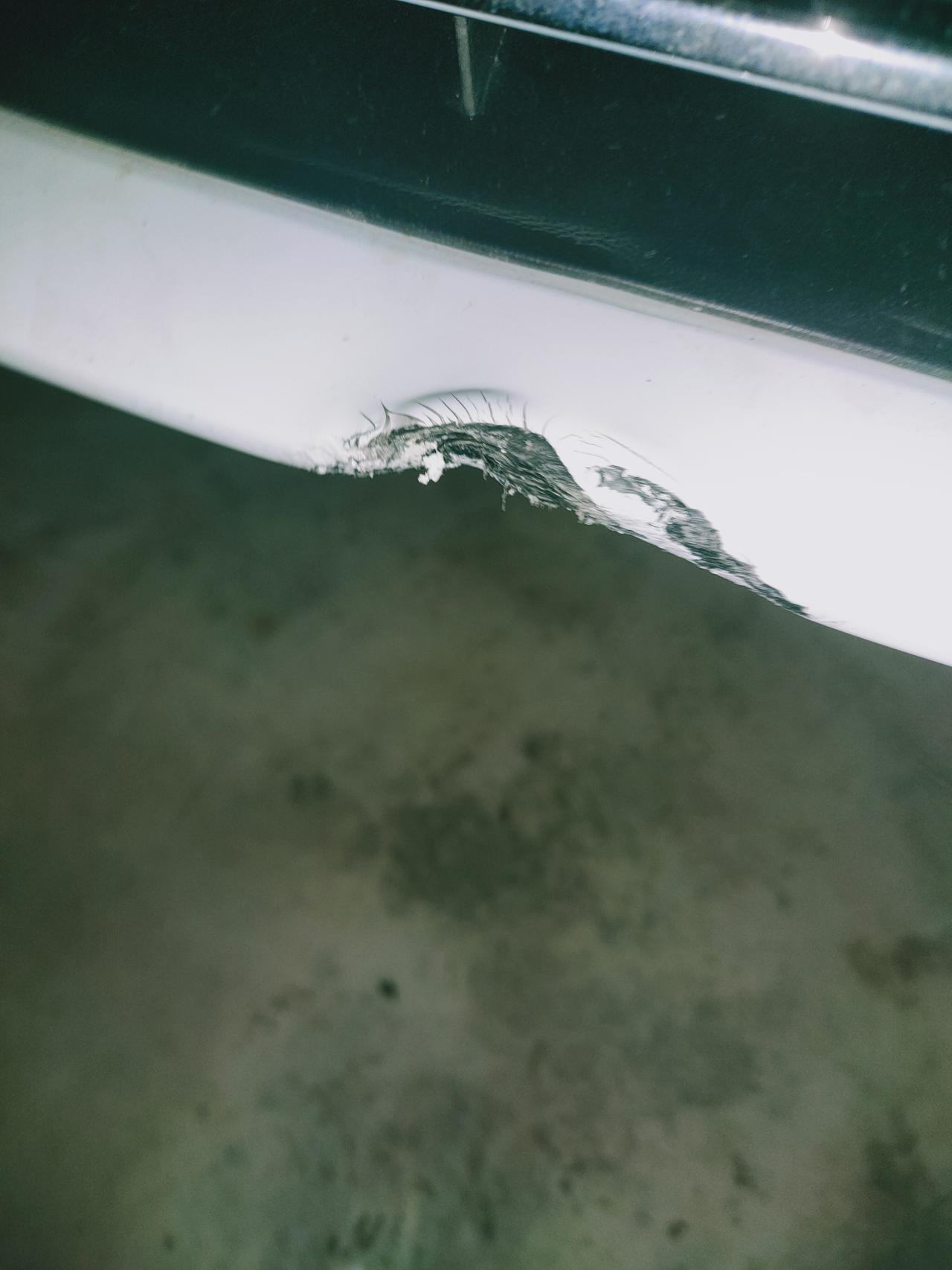大众速腾 晚上没看清撞了，能不能修