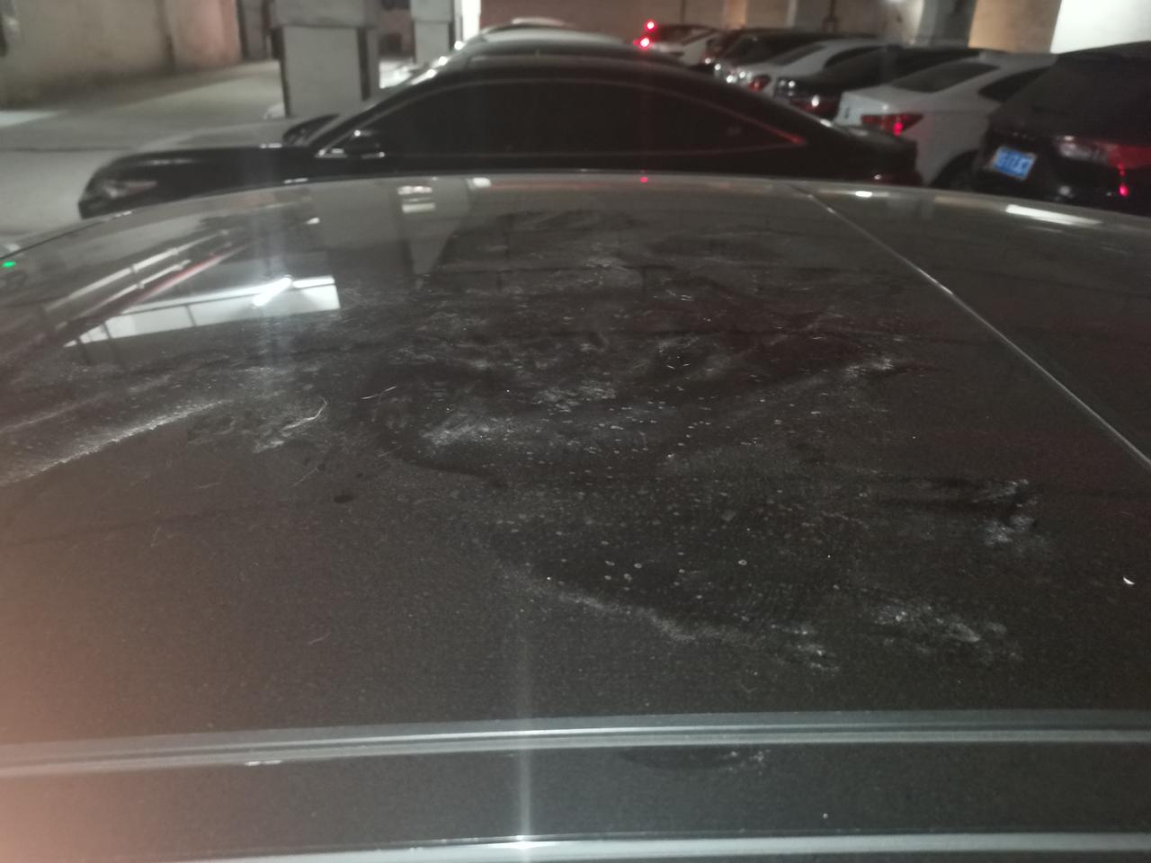 奔驰E级 真倒霉、车停在小区地下室被猫弄成这样、不知道会不会留下划痕