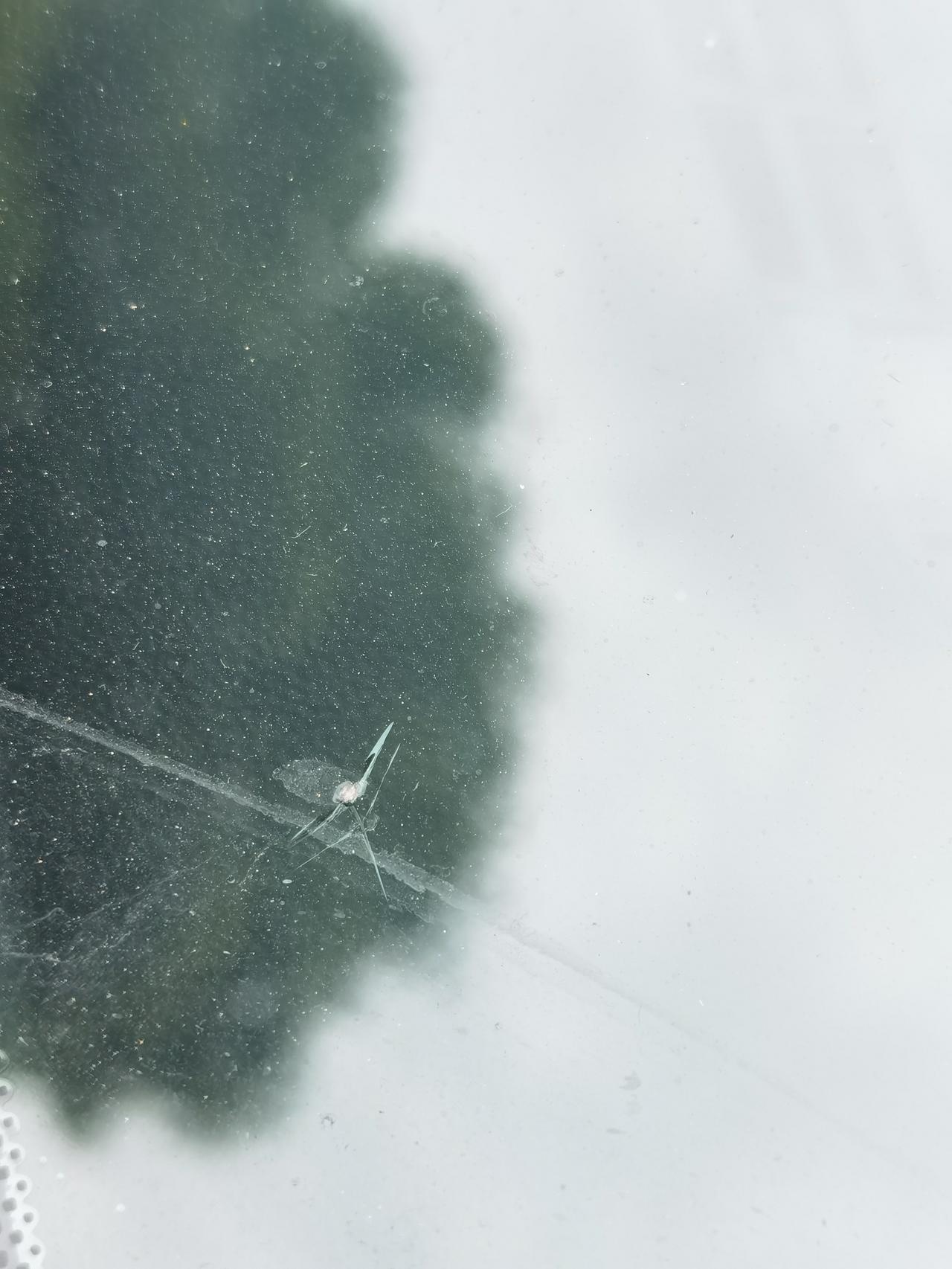 别克英朗 提车一个月不到换前挡风玻璃算大修吗