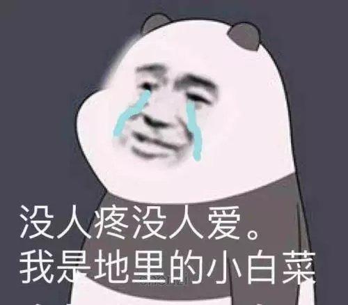 捷豹XEL 听说要出21款了， 谁有谍照。或者是小道消息，和20款的区别在哪里。