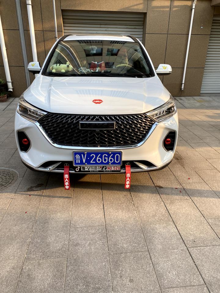 哈弗M6 我想问一下大家这款m6plus为什么打着火怠速很高一两分钟才降下来你们也是这样吗，以前半分钟就降下来了怎么现在