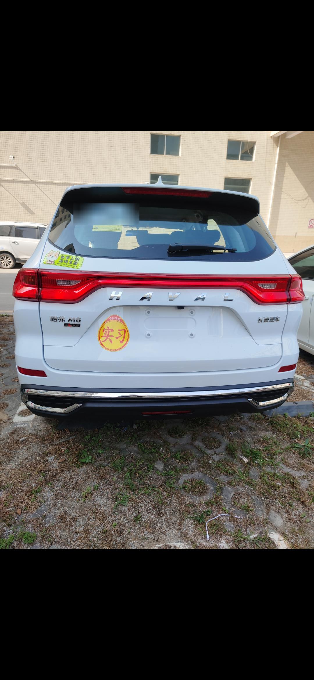 哈弗M6 M6PLUS自动挡低配版忘记锁车了  带着遥控钥匙离开后车子会自动锁车吗