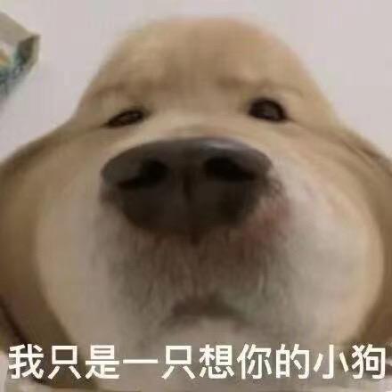 领克01 新出的01em-f 有多少人买啊？真是续航能力多少？我想换车去西藏自驾游