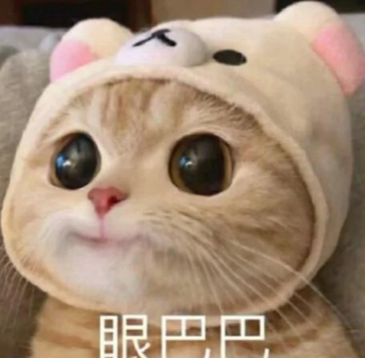 捷豹XEL 老哥们，问一下现在可能或者确定10月份到车的是哪一期的订单，只针对定制单。有七月份2109期的么 我看好像6
