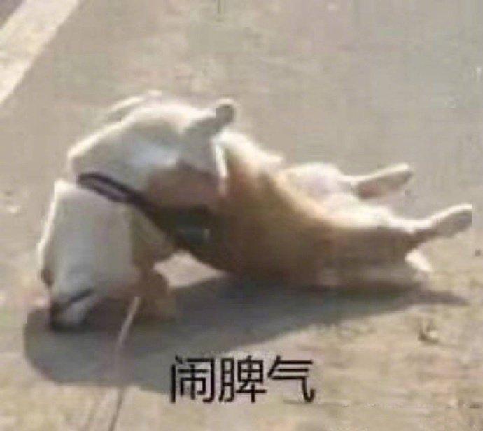 别克英朗 老司机们 我想问一下怎么开车省油一些 我起步瞬时油耗25 左右  感觉是错误开法 刚刚三个月  9.8平均市区