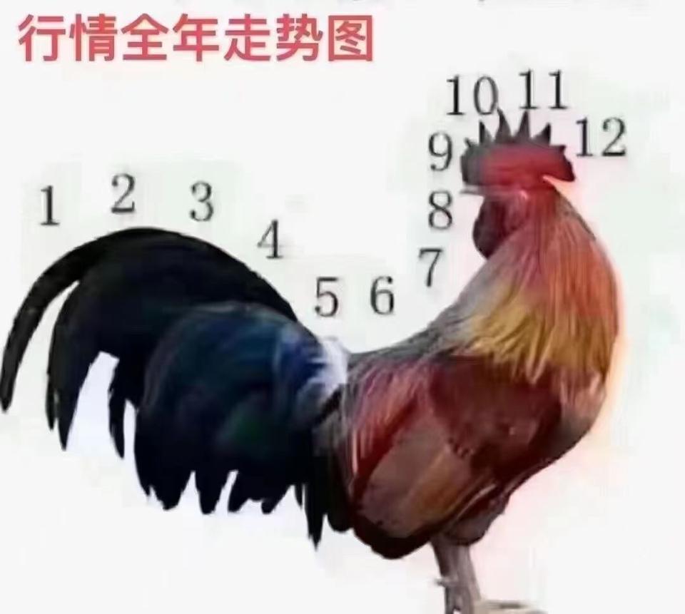 丰田卡罗拉锐放 金九银十，买车优惠变多还是变少尼