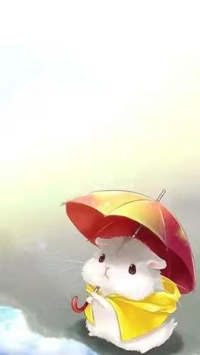 比亚迪元PLUS 几何c和元怎么选