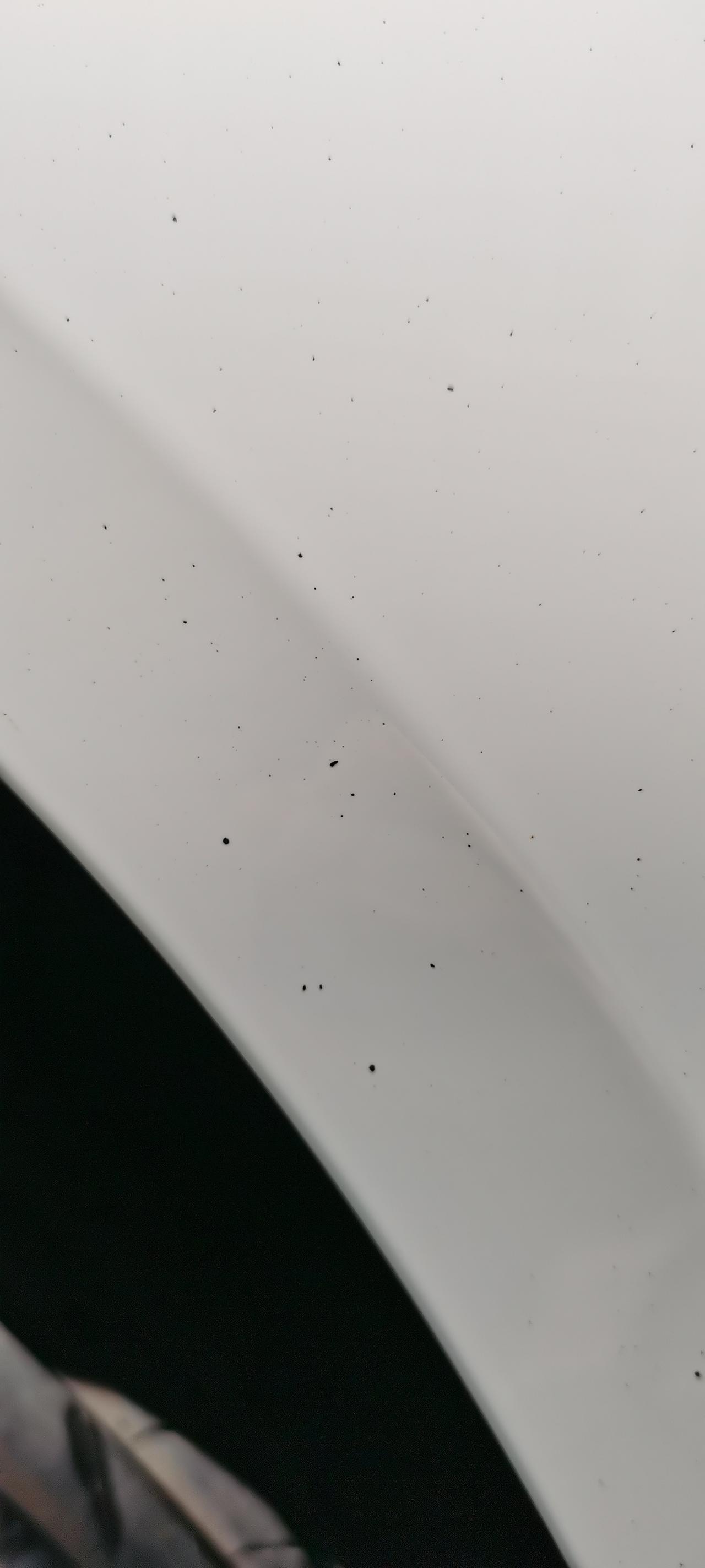 捷达VS5 黑点黑点点，怎么处理