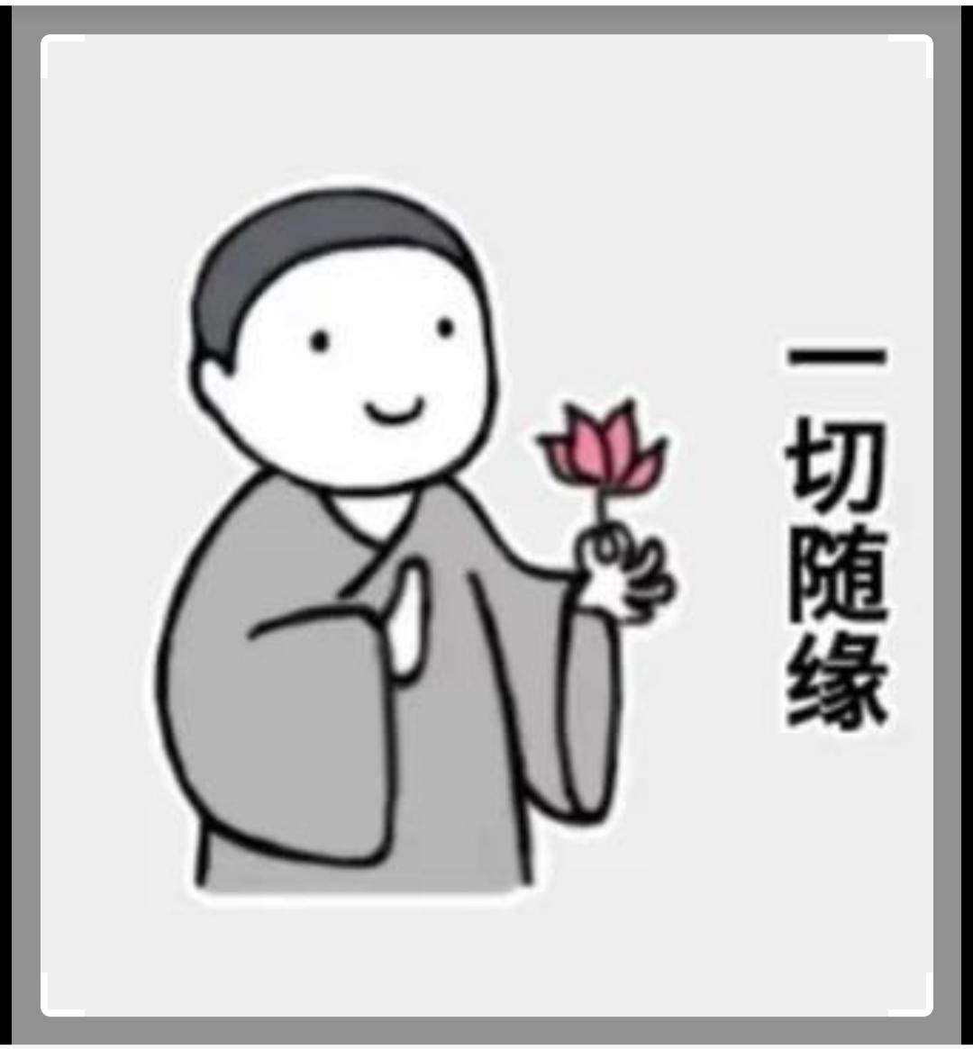魏牌玛奇朵DHT-PHEV 兄弟们，少2w，一台是半年库存车，一台是展车，低配，冲不冲得！给小弟点建议。