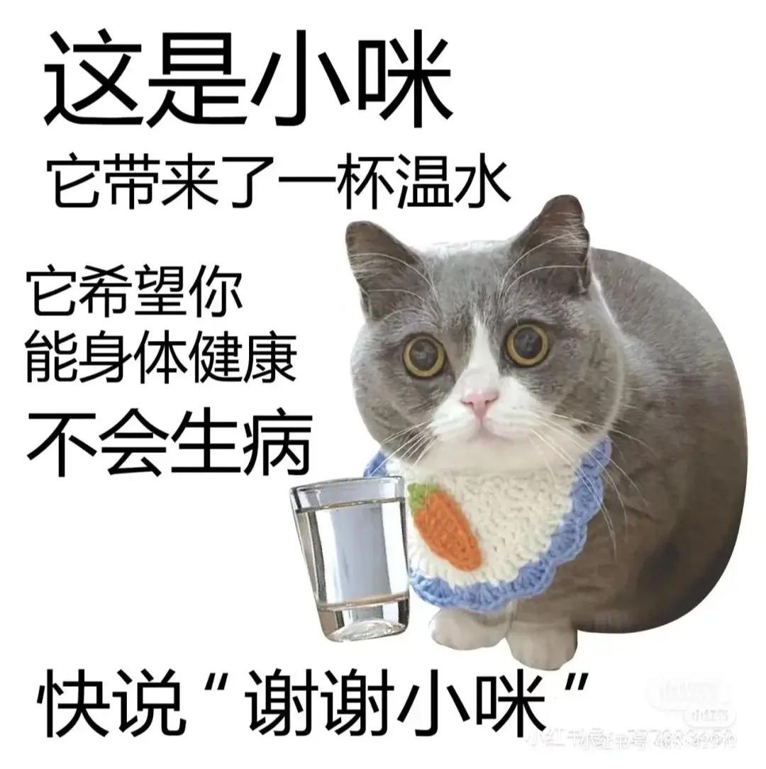名爵5次顶配和顶配分期落地大概多少？