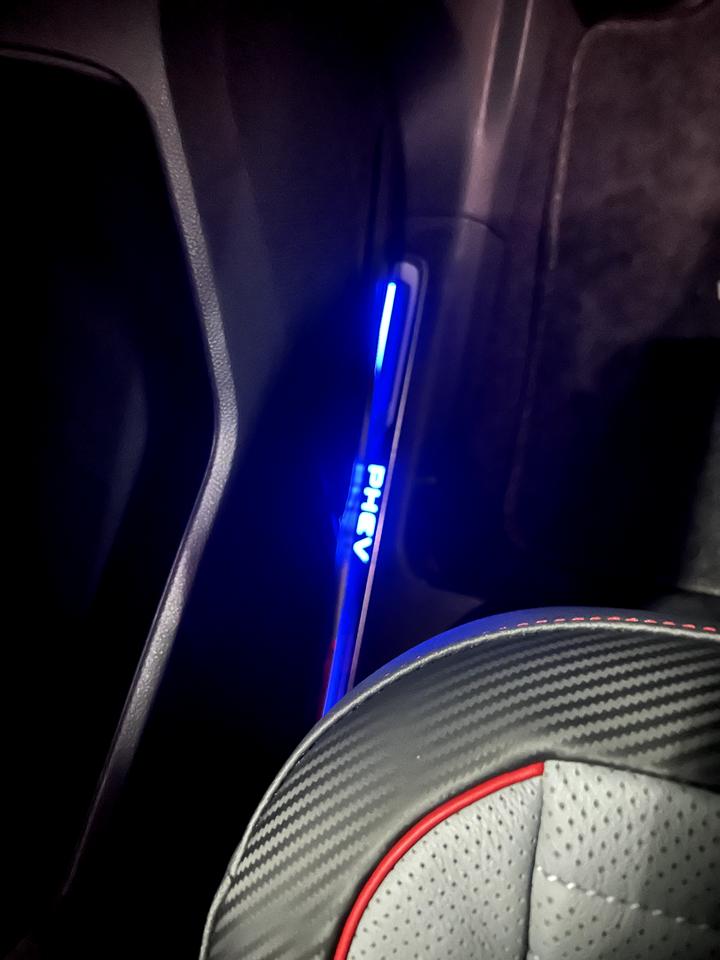 大众途观L PHEV 求助锁车之后，驾驶室左后门的踏板迎宾灯一直亮着，今天开车的时候特地观察了一下，也是亮着！其他3个门