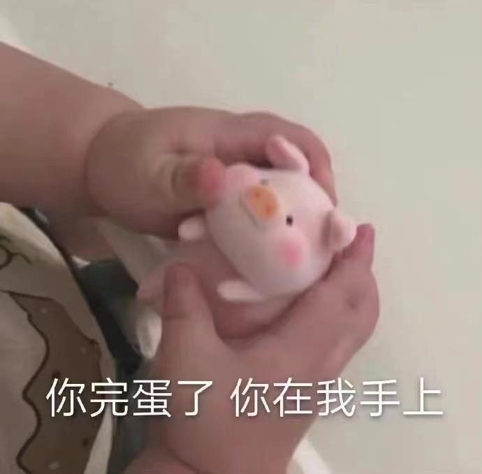 雅阁跟新蒙迪欧怎么选