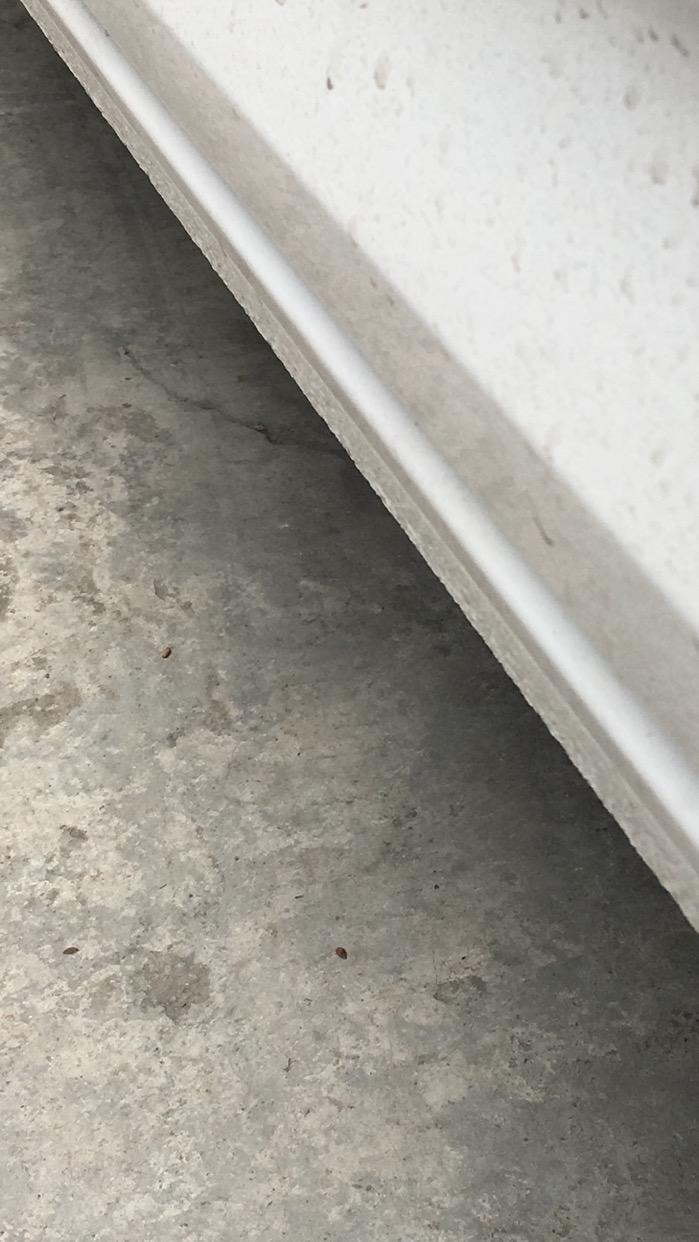 我想问一下 所有的朗逸这个位置 都是这个样子的吗？