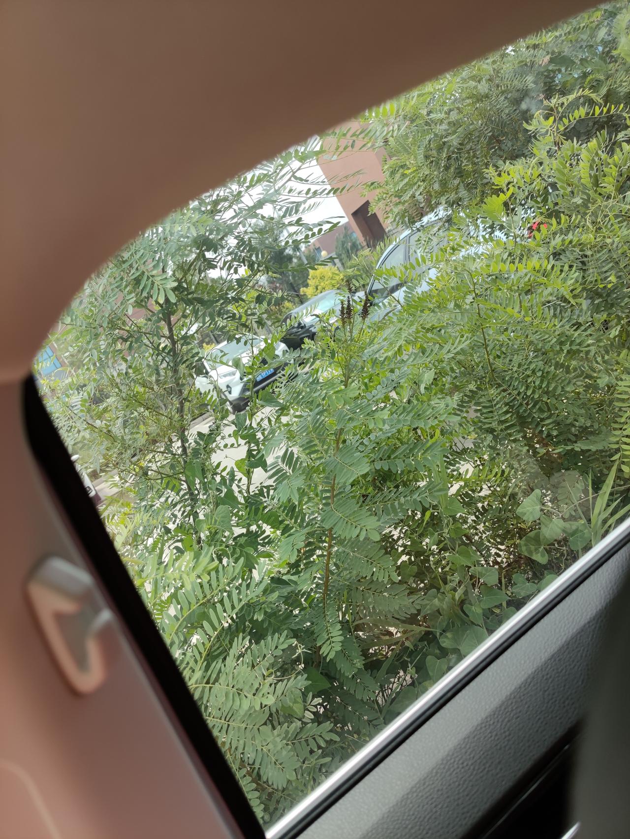朗逸跑高速的噪音真的可以！那小风噪配上那小胎噪！下雨天真的更配哦！