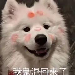 想知道怎么选择是买两厢标配的思域还是十一代思域劲动版，求车友大佬们给给意见。现在了解到的价格思域劲动版是14.4全款落地