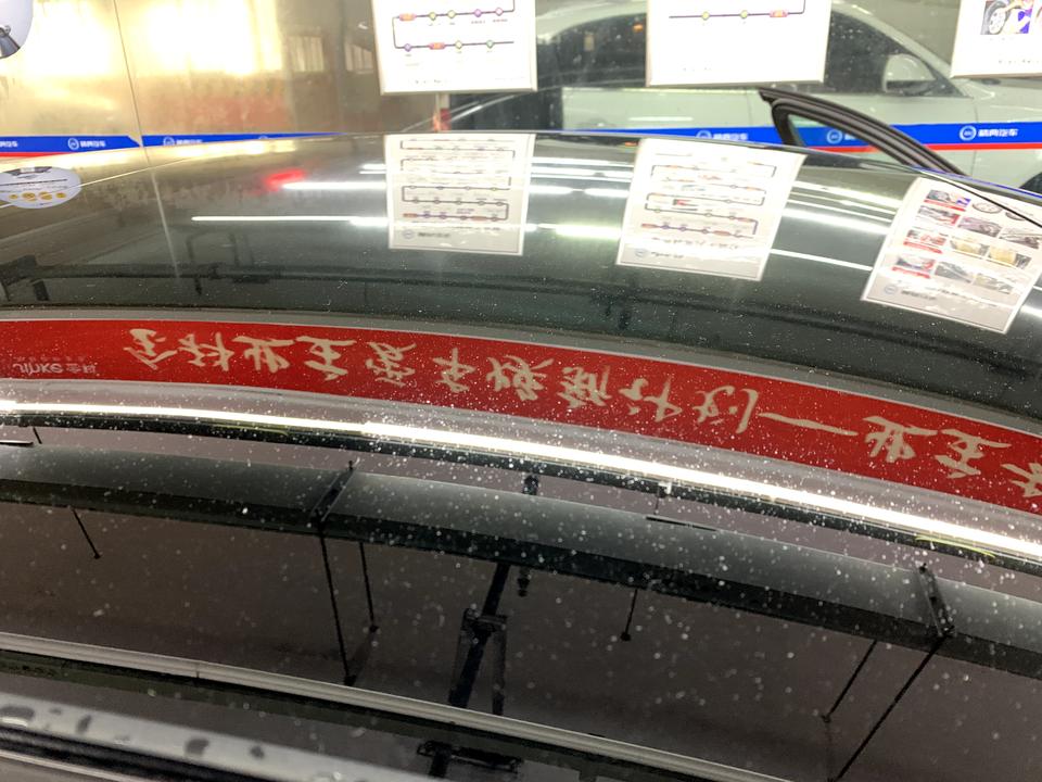 奥迪A6L 才提的A6L,平时停地库，中途出去有停树下经历，今天洗车突然发现全身车漆密密麻麻小白点，就像是炒菜热油碰到水