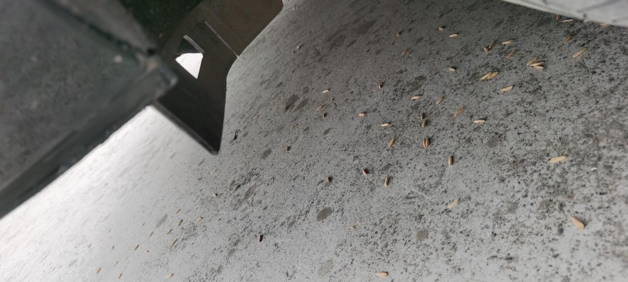 红旗H5 问下各位大哥们这个是不是挡泥板，为什么我这个挡泥板只有左前一个轮胎有？求解答谢谢