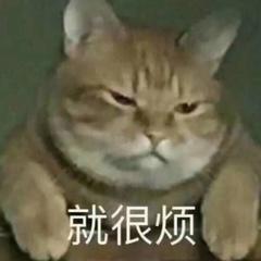年轻小伙一枚，用车需求家用，我比较中意奇骏，我爸看的荣放，一直很纠结，我是去年11月份就开始关注奇骏的，前段时间也去过4