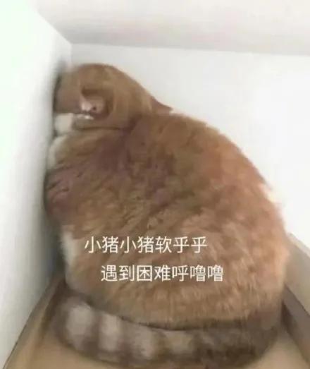 斯柯达明锐 尊贵3月份15以内能下来吗？