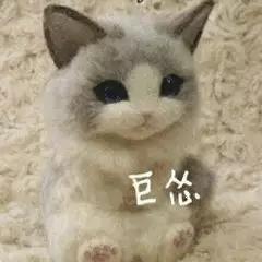 有个问题，主动刹车和碰撞预警靠的是毫米波吗？还是摄像头？还是俩都用？如果说俩都用的话，那么四驱尊享版以下的昂科旗主动刹车