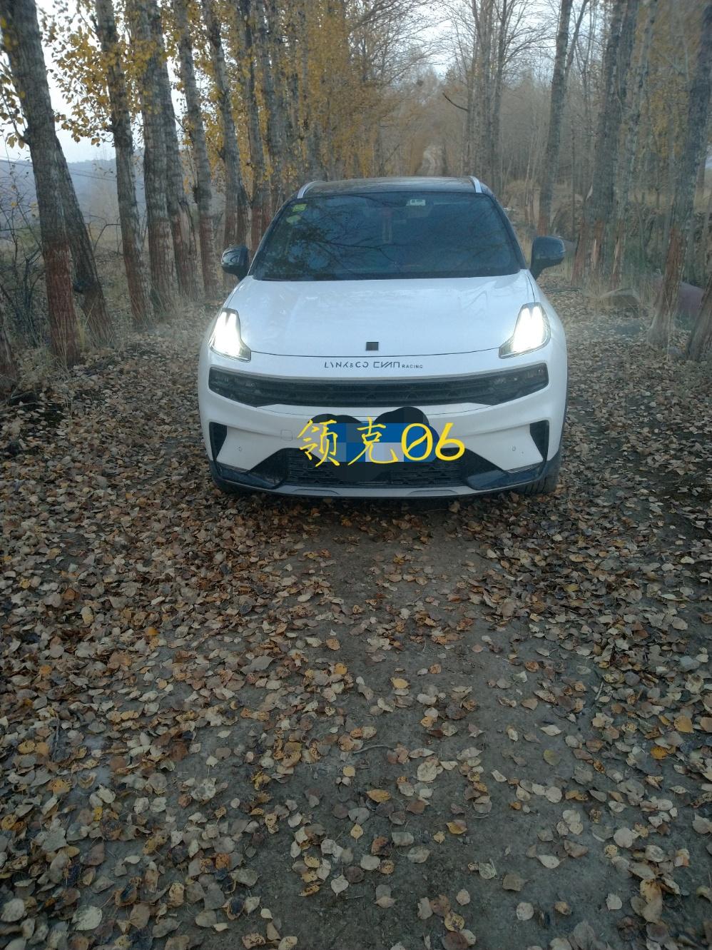 领克06 哈喽，06的小伙伴们，你们的06有出现过踩油门加速时，发动机舱有异响，松开油门就没有异响的情况吗？我的06现在