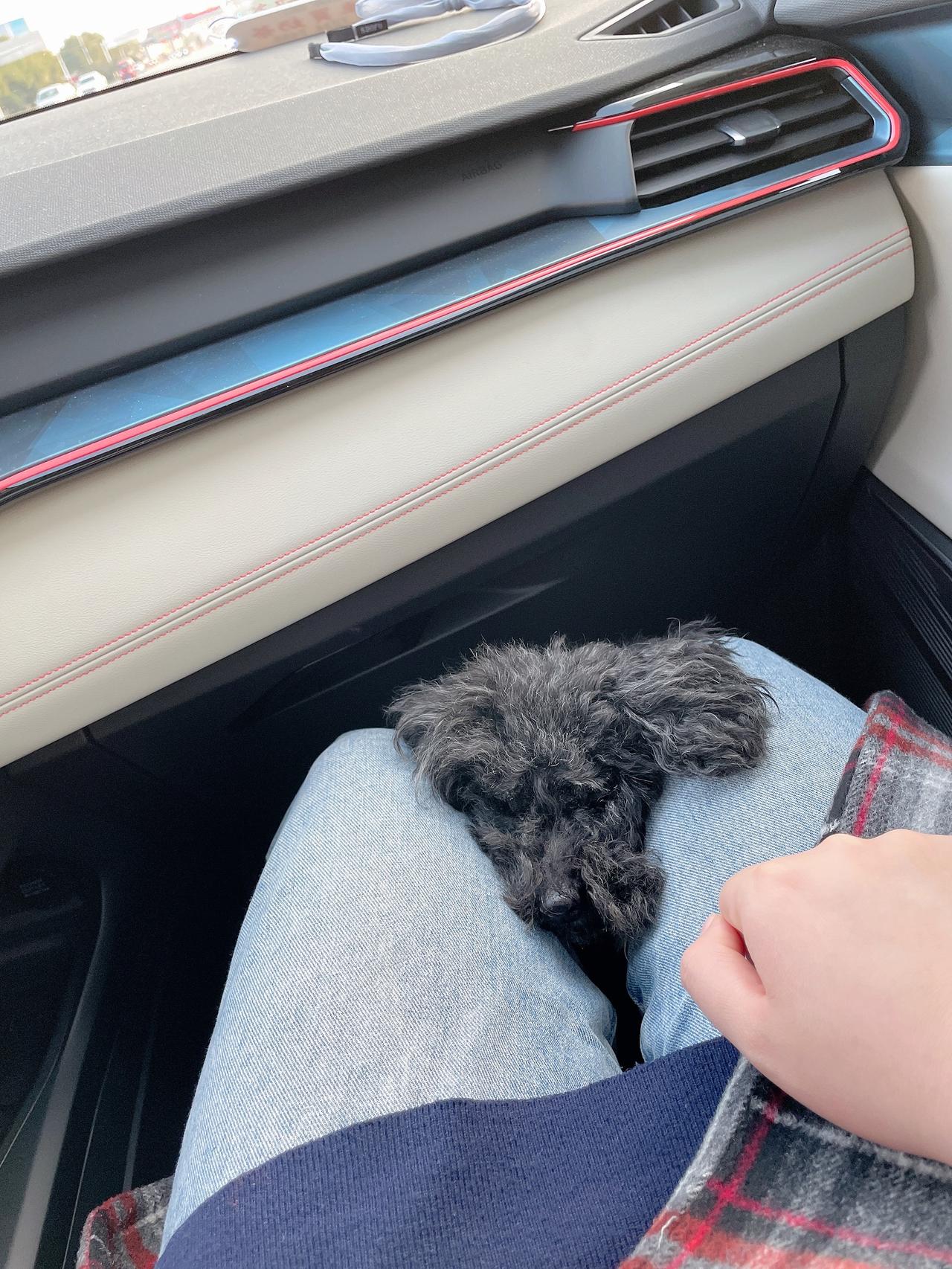 领克06 想问下，06需要搞一个方向盘皮套吗？？不是说方向盘有种消毒功能，真有吗？