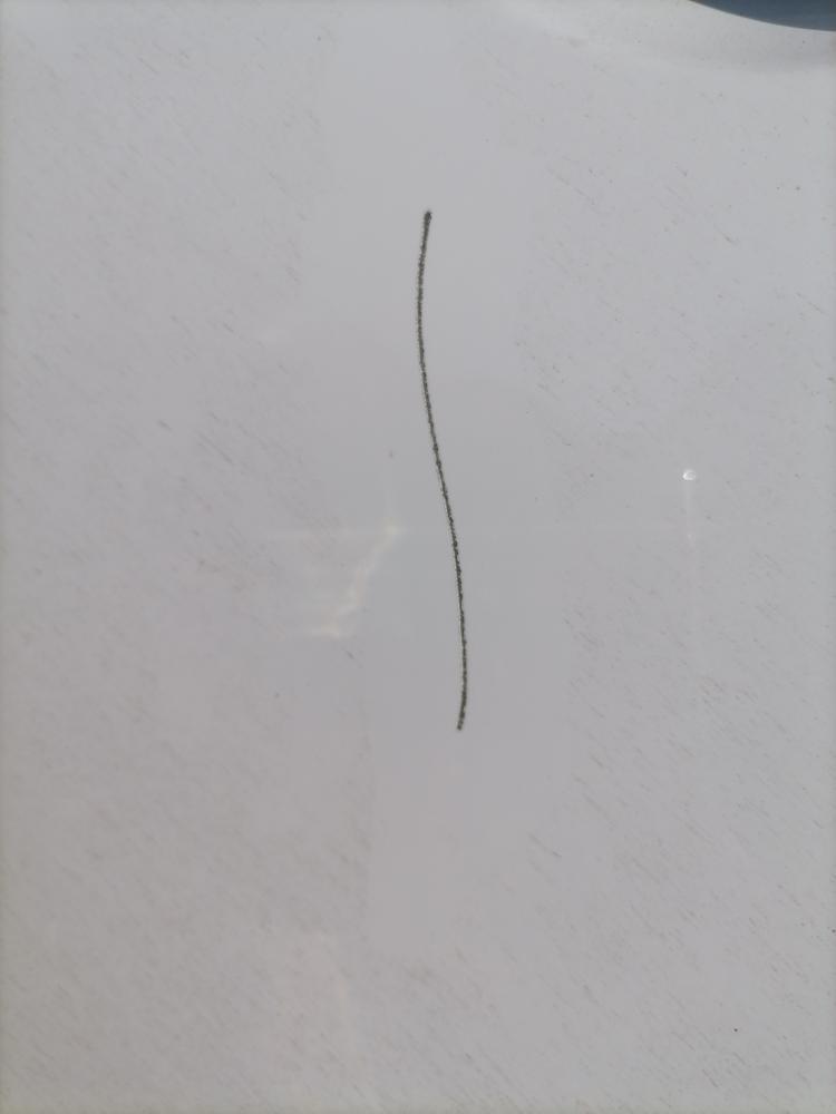 别克英朗 车门不知道被谁划了一下，这个需要补漆还是抛光就能解决呢。