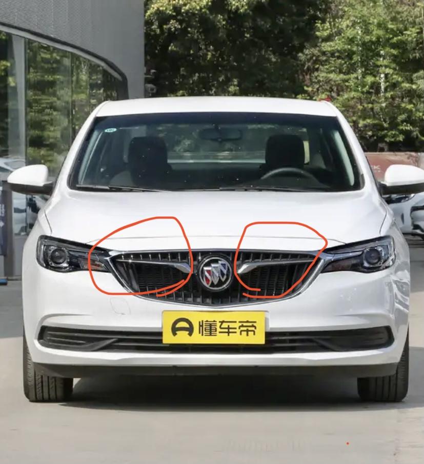 英朗车友门，前脸车标旁边这两条东西叫什么？一直想买这东西又不知道叫啥好难受